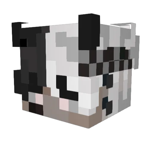 TryHarder2010 Minecraft avatar head, 3D render