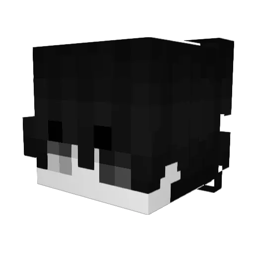 TryMetab10 Minecraft avatar head, 3D render