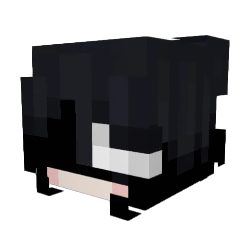 TryMoon Minecraft avatar head, 3D render