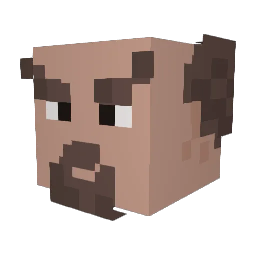 TryNot2Cry14 Minecraft avatar head, 3D render
