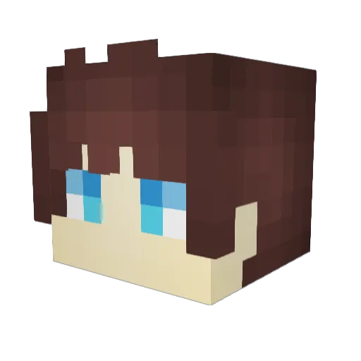 TryToRageee Minecraft avatar head, 3D render