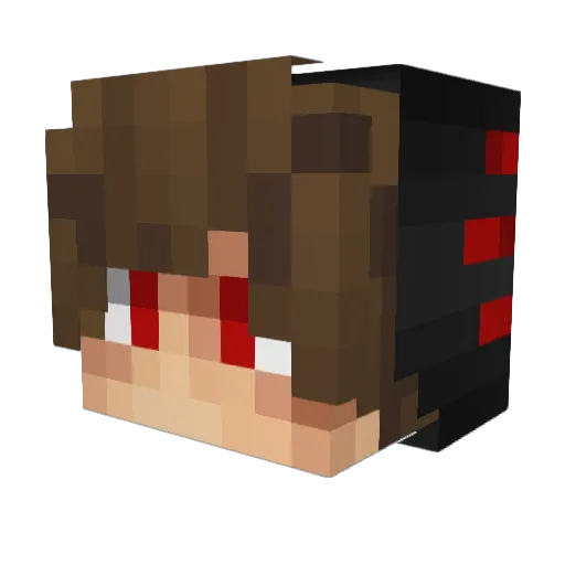 TryToTrickGames Minecraft avatar head, 3D render