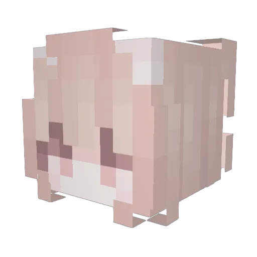 TryYourBest Minecraft avatar head, 3D render