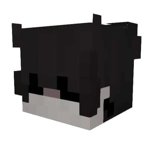 Tryerik2008 Minecraft avatar head, 3D render