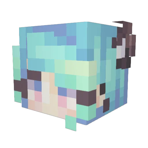 TryhardDuck1 Minecraft avatar head, 3D render