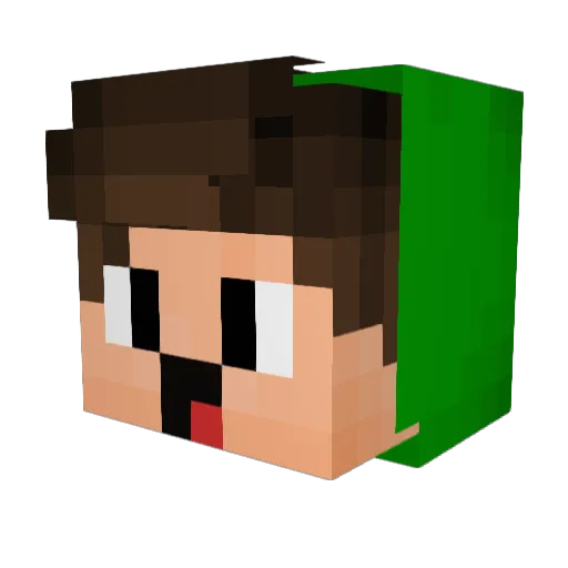 TryhardSWi1ftY Minecraft avatar head, 3D render