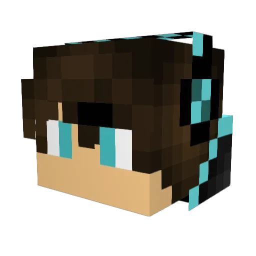 Tryhard_13 Minecraft avatar head, 3D render