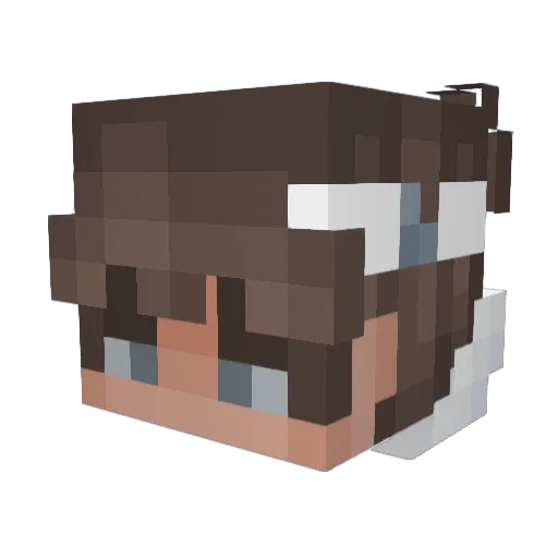 Tryhard_Ananas Minecraft avatar head, 3D render