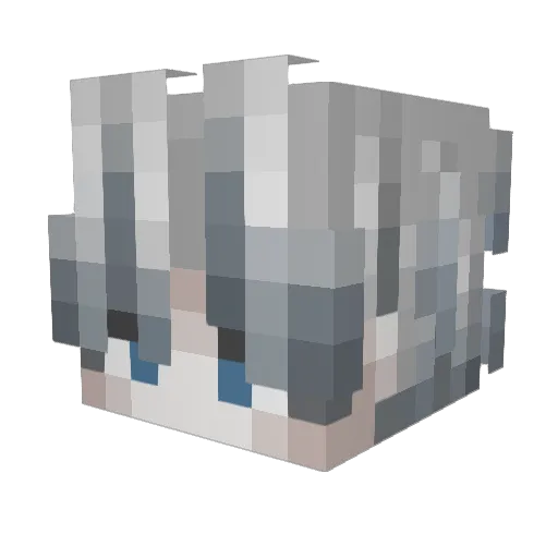 Tryharderboy011 Minecraft avatar head, 3D render