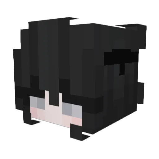 Tryin_Hui Minecraft avatar head, 3D render
