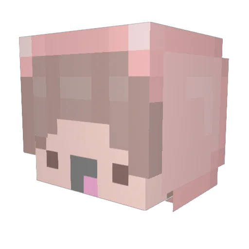 TryingRandy Minecraft avatar head, 3D render