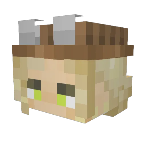 TryingSleep Minecraft avatar head, 3D render