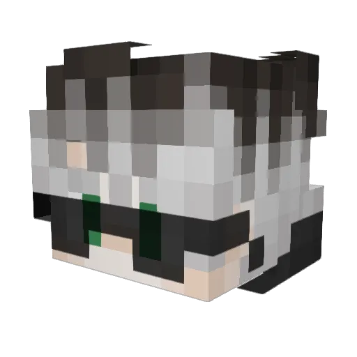 Tryliefie Minecraft avatar head, 3D render