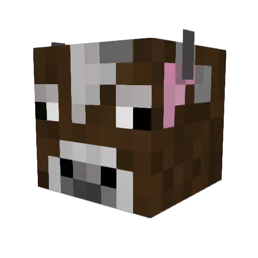 Trym69 Minecraft avatar head, 3D render