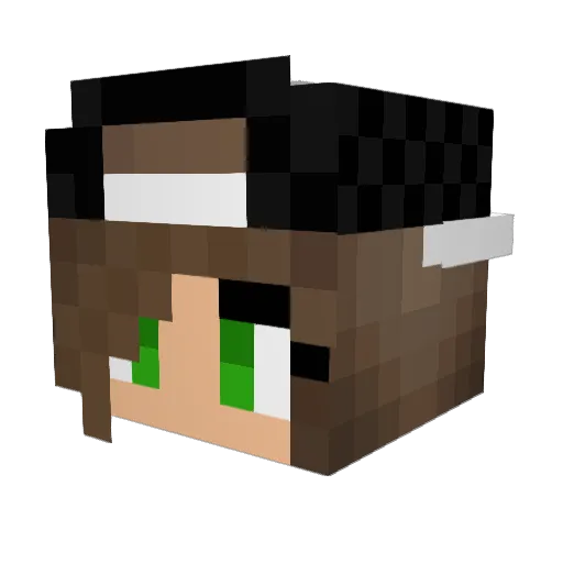 Trymax2 Minecraft avatar head, 3D render