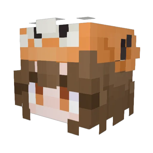 Trymcatboy Minecraft avatar head, 3D render