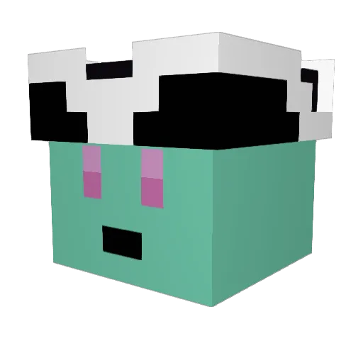 Trymmi15 Minecraft avatar head, 3D render