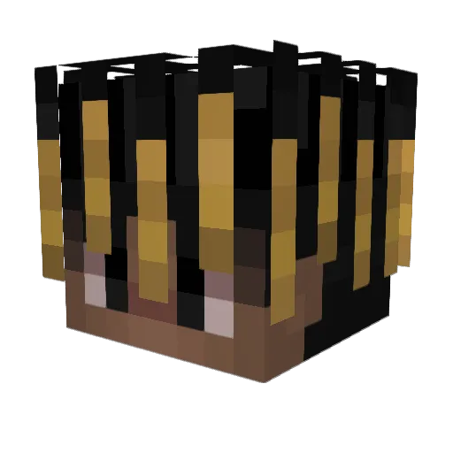 TrynBlitz Minecraft avatar head, 3D render
