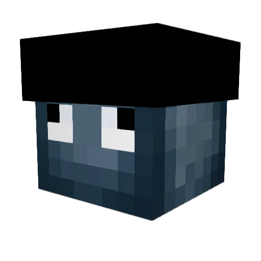 Trysquid_ Minecraft avatar head, 3D render