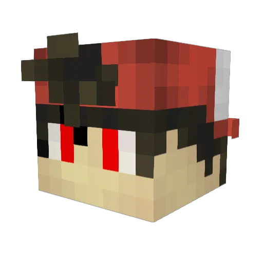 Trytoxe Minecraft avatar head, 3D render