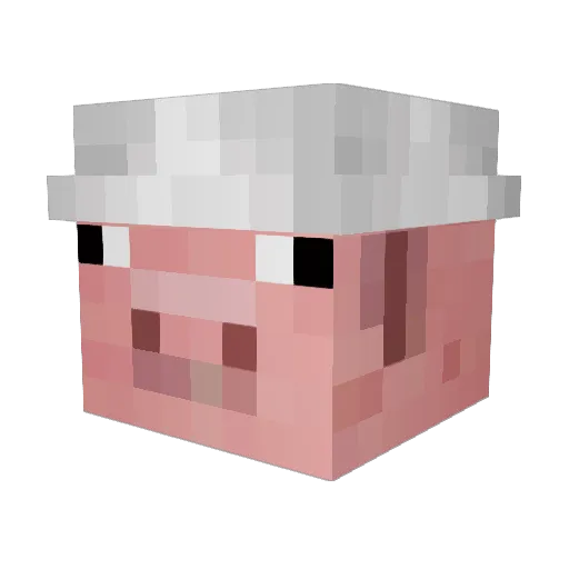 TryttFall Minecraft avatar head, 3D render