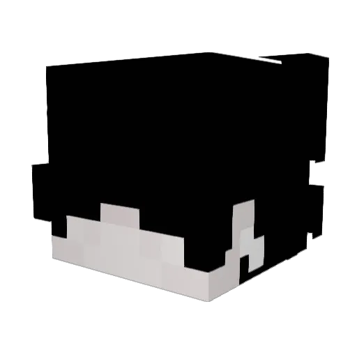 Tryxiqqq Minecraft avatar head, 3D render
