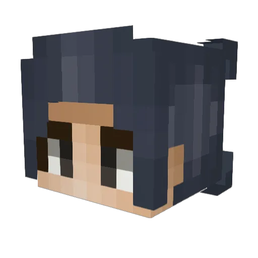 TsTcorrupt Minecraft avatar head, 3D render