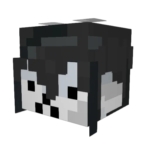 Tsanabu Minecraft avatar head, 3D render