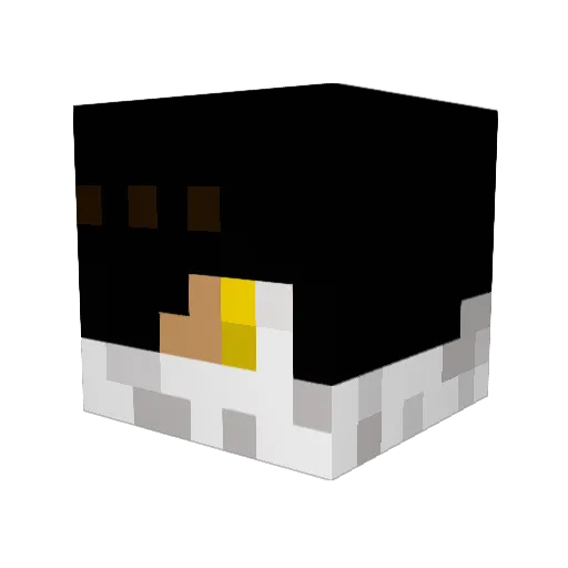 TsassinK12 Minecraft avatar head, 3D render