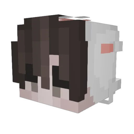 Tschenis Minecraft avatar head, 3D render