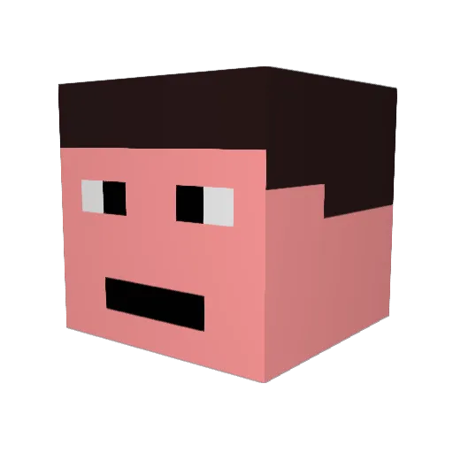 Tschunk Minecraft avatar head, 3D render