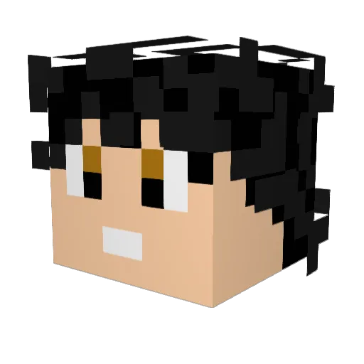 Tsfgh Minecraft avatar head, 3D render