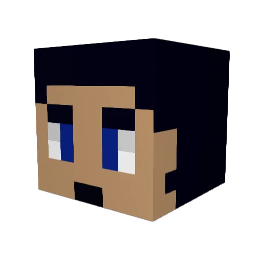 Tshock2003 Minecraft avatar head, 3D render