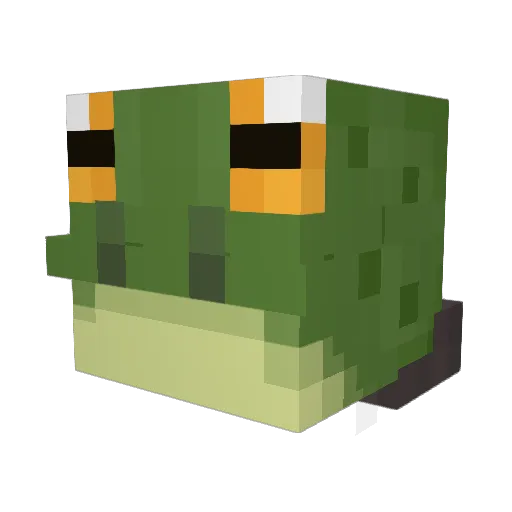 Tsintaoroar Minecraft avatar head, 3D render
