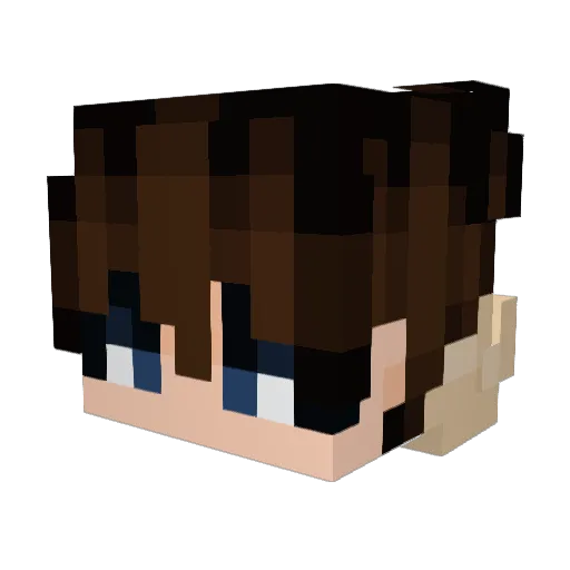 Tsnfish Minecraft avatar head, 3D render