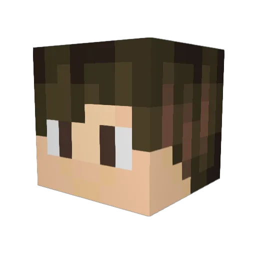 Tsomuncu Minecraft avatar head, 3D render