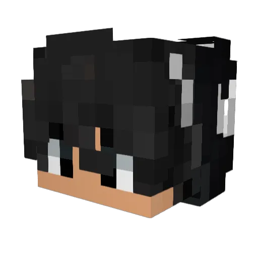 TsovJoako Minecraft avatar head, 3D render
