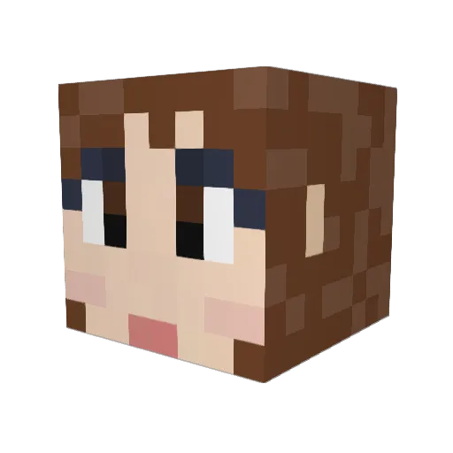 Tspoon14 Minecraft avatar head, 3D render
