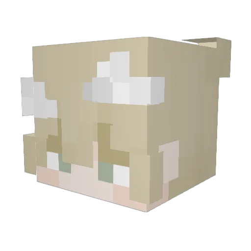 Tsqm Minecraft avatar head, 3D render