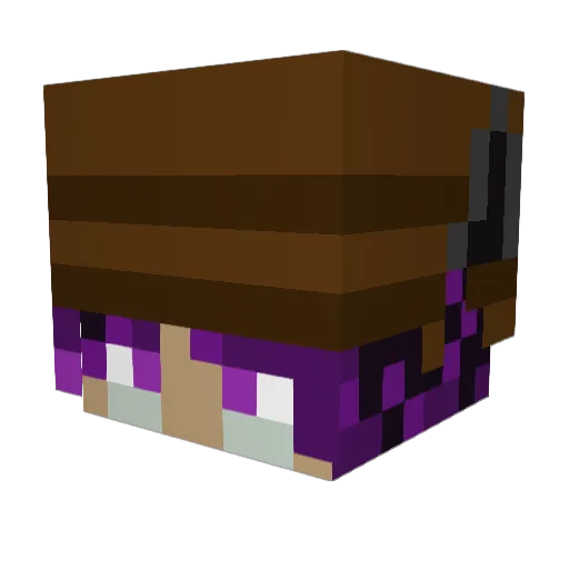 Tsu75 Minecraft avatar head, 3D render