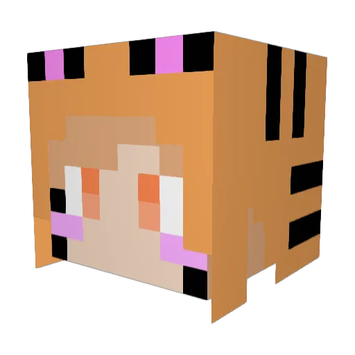 TsuBaKi331 Minecraft avatar head, 3D render