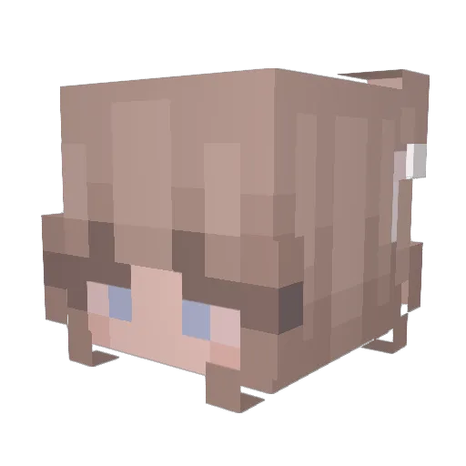 TsuTsuNine_ Minecraft avatar head, 3D render