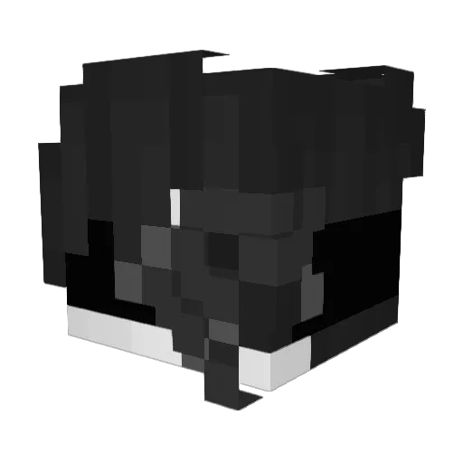 Tsubasa9999 Minecraft avatar head, 3D render
