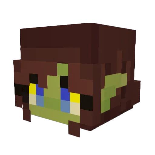 Tsugaloe Minecraft avatar head, 3D render