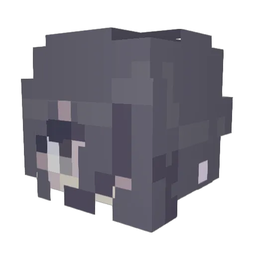 Tsuk7 Minecraft avatar head, 3D render
