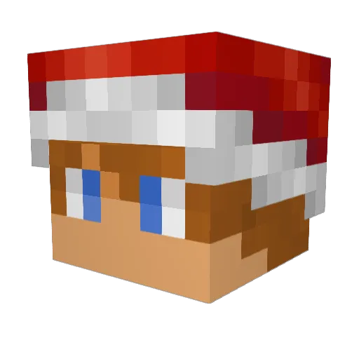 Tsukasa04 Minecraft avatar head, 3D render