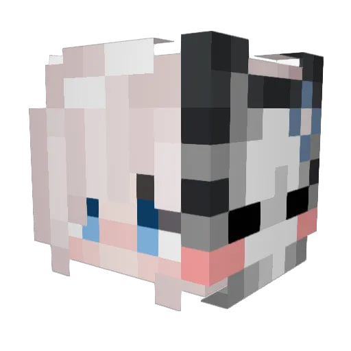 Tsuki20068 Minecraft avatar head, 3D render