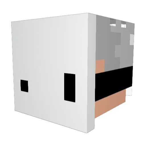 Tsukibaka_ Minecraft avatar head, 3D render