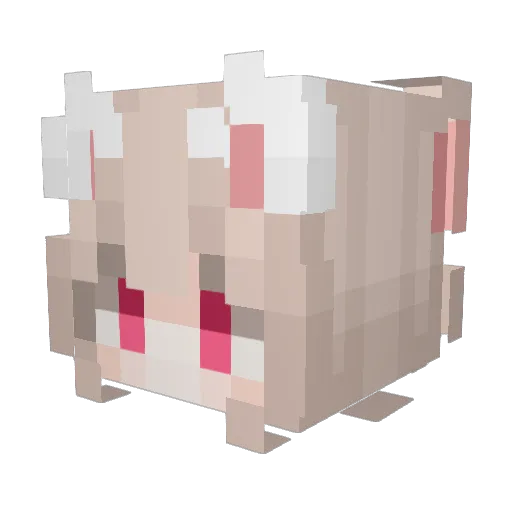 Tsumiki1995 Minecraft avatar head, 3D render