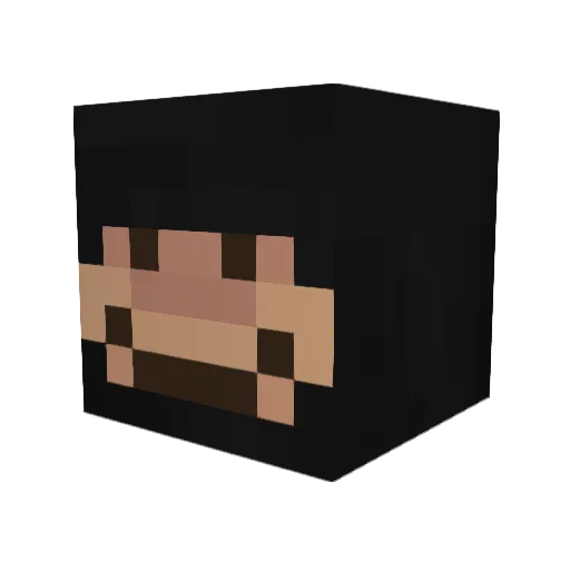 Tsunam1_ Minecraft avatar head, 3D render